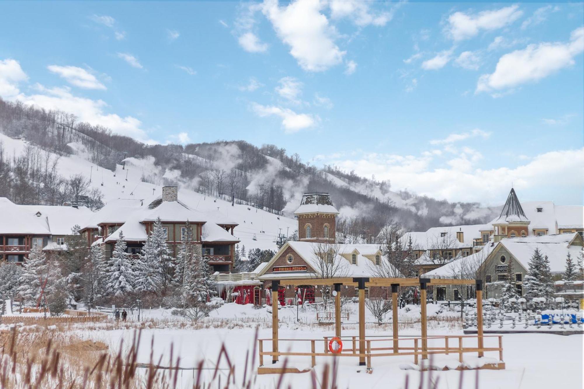 블루마운틴 Wintergreen Retreat With Private Sauna & Patio 82291 빌라 외부 사진